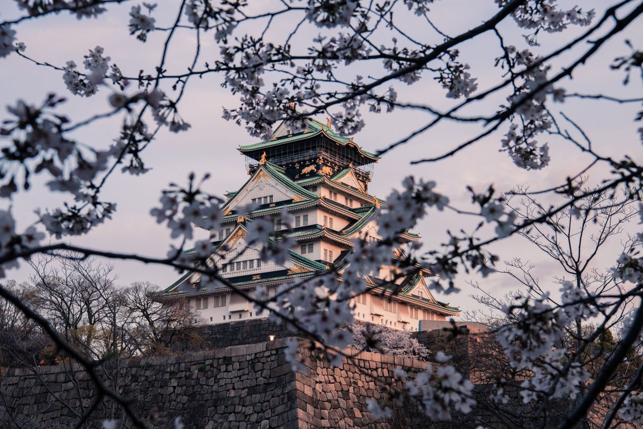 A stunning view of Osaka Castle with cherry blossoms, capturing the essence of spring in Japan.
